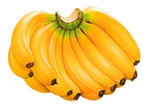  AT THIS PRESENT MOMENT I AM CRAVING banane AND citrouille