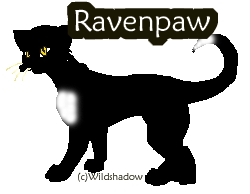  No, ravenpaw is fine