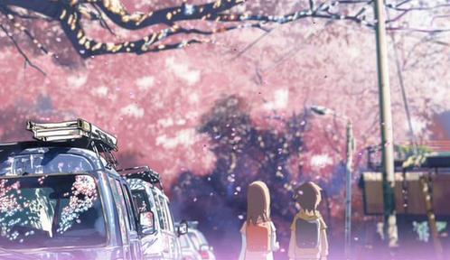  The Chosen 樱桃 Blossoms
