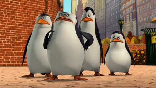  Of course; the penguins could do plus adventuring outside the zoo.