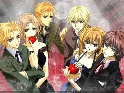  There is Quite a few people with yellow/orange hair here ^-^. This is from Vampire knight. Okay, from Right to left. Senri shiki, Rina touya,Takuma Ichijou, Akatsuki Kain, Ruka Souen and Hanabusa Aidou.