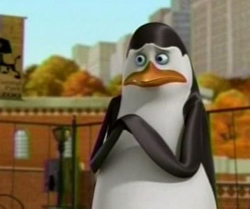  every reason available. and if u dont take that as a reason, then, He's KOWALSKI! whats not to amor about him?!?!?! and hes adorable Cx