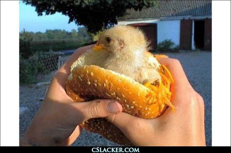  Chicken Burger! *chicken burger starts clucking* what anda berkata anda wanted a chicken burger anda didnt SAY what kind of chicken burger anda wanted and no anda cant change your mind SO TAKE THE DAMN CHICKEN BURGER!