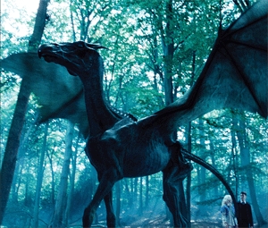  my favourite from HP: hippogriff, thestral, awesome creature that i never heard/knew before. especially with flying ability. that's my favourite! owl! i like owl too. they are very useful and loyal pet. my least favourite maybe dementor for obvious reason, and goblin because they are greedy creature. from twilight (there are only two magical creature right?) Fave: shapeshifter, they are fluffy hate: vampire; living stone me no likey :P