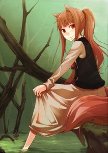 i think holo's pet would be either a dog or a wolf (or maybe a husky) :)