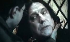  I would 100% change Severus nape dying I never wanted him to die because I loved his character too much but that's what happened so would change that and only that scew everything else but just save Severus Snape from his fate. The segundo thing would be to also save Cdric Diggory from his death. What in the Hell was he killed for??? Pleasure? Well he should of lived because we didn't know him well enough so if he lived we might have gotten the chance to.