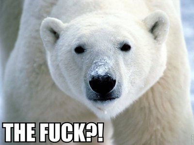  I kissed a polar bär while eating mais flakes. ......
