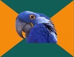  Y'know what? This Frage makes me think of my friend, here's him: Meet Paranoid Parrot.