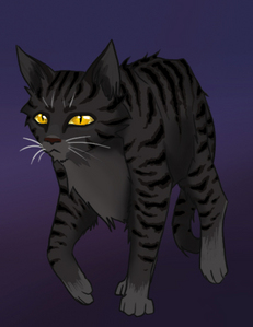  dragon is my name and my clan is shadowclan and im a female i have midnight sky colered furr and once i meow every warrior Кошки ears hurt im like a shadow at night no other cat can see me или hear me but my clan i got razer sharp claws to fight with and knifve shaped teeth to hunt prey and my eyes are bright as the sun.