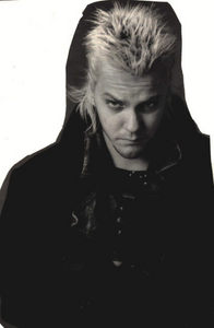 David Van-Etten from "The Lost Boys". 
Lestat from "Queen of the Damned".
Angel and Spike from "Buffy the Vampire Slayer".