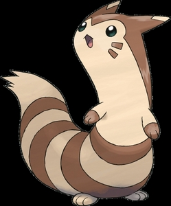 Either a Ranger or Trainer, its quite a hard decision but if i was either my Partner would be Furret!