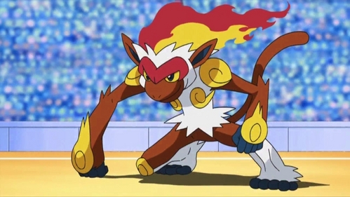 I would want to be a trainer and coordinator. My partner would be Infernape! 