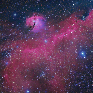  I absolutely प्यार looking at pictures of space, so it looks like an awesome site to me. Now here's a picture of the Seagull Nebula~.