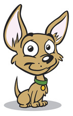  I'm Chase king Chihuahua, so I think XD But, I'm a Fluffy chihuahua who has a crown like King Julien But, 20% cooler. So. I look like my profil Picture *I look like this picture but, with a crown* I'm in between skipper and rico standing up and my eyes are baby blue.