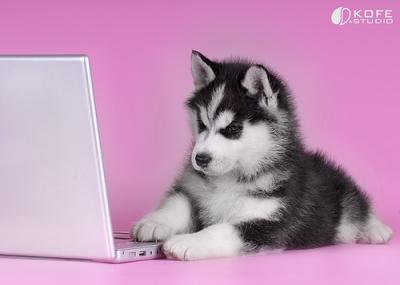  the puppy did it dont let it fool u see its clicking the button