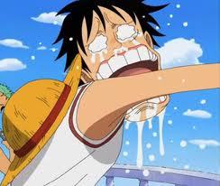  Luffy. He is stupid,dumb and moron but still amazing ^.^