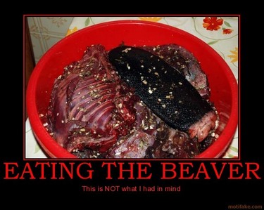  Eating beavers. I dunno about آپ but that's gross to me.