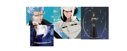  These Guys Grimmjow(top left),Ggio(top right),Ichigo(bottom left) Hichigo(bottom right),& Rukia from Bleach, she proves that us short people can be asskickers!!!!