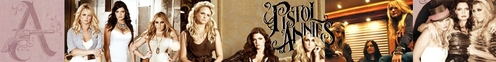  Here's a banner I made and a link to the full size banner. Hope u like it. http://www.fanpop.com/spots/pistol-annies/images/27903088/title/banner-fanart