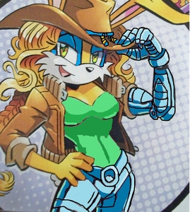  Name: Meg.A.Coola Age: 17 Species: partly-robocized rabbit Likes: Horses, her friends, her job (cowboy policewoman) Dislikes: criminals, water, Gwendoline, Powers/Abilities: Robocized arm can become gun, Electric control. Team: Power Prize: New pet horse.