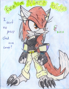  "Evolia- she's my first Sonic character, and also my fursona. She's basically me in every way, odd accent included. My hair and eye color, and she wears my style of clothing. "She's my little brain child." ^w^
