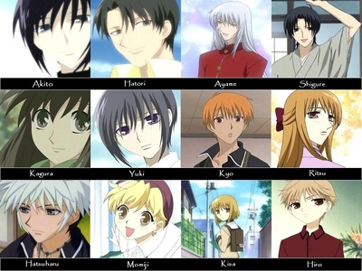  Sohma family! >w< (I know there are meer in the family, but this is a pretty decent picture...)