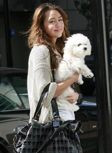 mine in this pic she is holding her purse and her dog