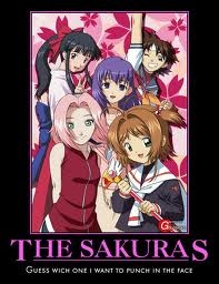  Sakuras everwhere!!!