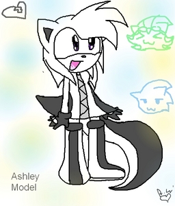 ashly the skunk pleaze..
shes 15 in a half
shes one of sonics best buddys or best friends
shes a tomboy
shes also an mecanic power type on missions.