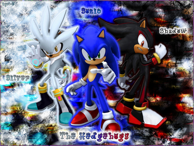  Not stupid, she's DUMB PEOPLE! She can't tell the difference between Shadow and Sonic, ou Silver and Sonic, c'mon! It's easy to remember fourrure color! JUST LOOK AT THE BIG DIFFERENCE!!!!!!!!!