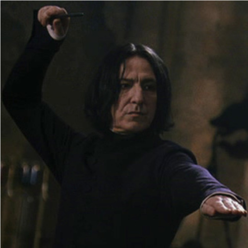 Severus Snape, Potion's Master, DADA Professor, Headmaster, Deatheater, Order of the Phoenix, Head of Slytherin, Double Agent, and all round Bad Ass....  LOL