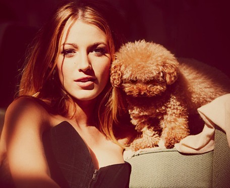 Blake Lively and her Maltipoo:))