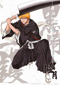  Ichigo from Bleach one of the Best Animes ever.