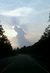  beautiful dog in the clouds... I 爱情 云, 云计算 照片