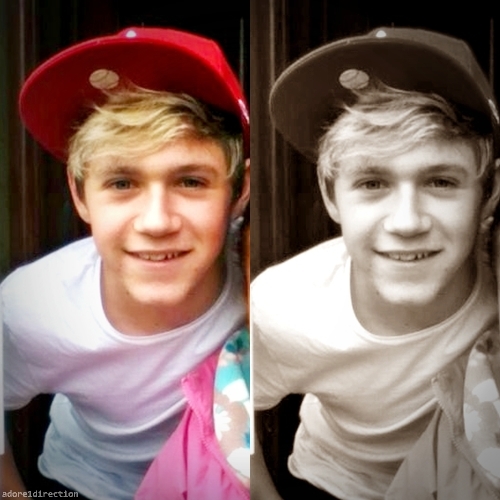  Nialler of course. Cuz he is so cute and sweet.