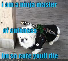  Master Ninja of cuteness