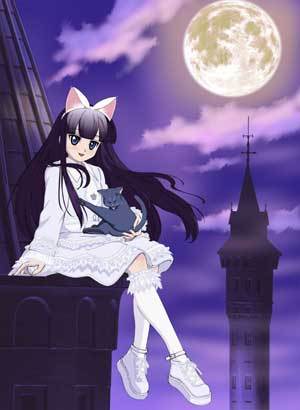 Hazuki's dress from Tsukuyomi: Moon Phase. It's so pretty! And with the sweater on it just looks cuter, not to mention neko mimi.
