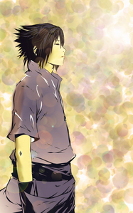  Sasuke has been my favoriete ever since the beginning. There's something about him that captures my interest...