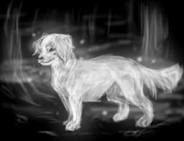 Just like my Favorit character I found my Favorit spell after finishing PoA. Expecto Patronum!!!! I am not sure why though. I am pretty sure my patronus would be some breed of dog, oder a mythical creature so it's not that. I just always liked that spell. *shrugs*