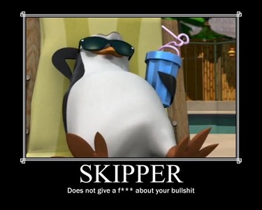  Skipper doesn`t care about what I did... (XD)