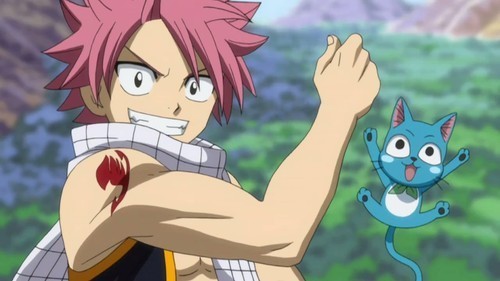  I want to be Natsu from Fairy Tail so that I could use his awesome dragon slaying magic!