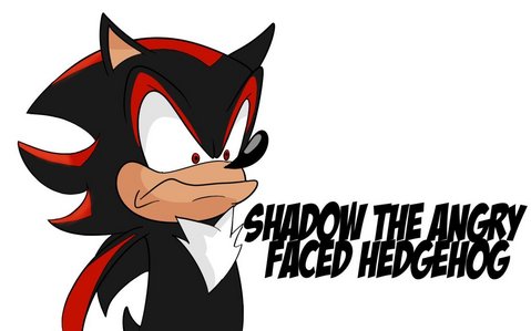  I don't think they'd even be able to finish their sentence before he'd kill them. Here is what he'd look like: (deviant art link, as I don't own) http://kaggykins.deviantart.com/art/Shadow-the-ANGRY-FACED-Hedgehog-270219998