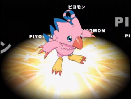 Biyomon!! or Gabumon, but i prefer Biyomon more^^
