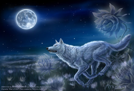  WOLF"S RAIN. the light of the moon will keep giving them hope and it will keep bloem maiden alive so that they can find paradise!