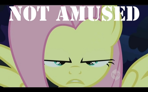  This makes Fluttershy not amused.