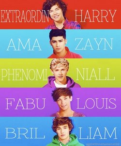 their names are Harry Zayn Niall Loius and Liam see