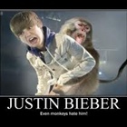  i have to say bieber