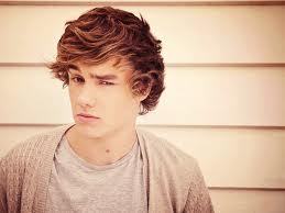  my least paborito banf members are liam and niall. there just so ugly!