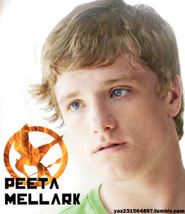  I actually really like Peeta. No Question.