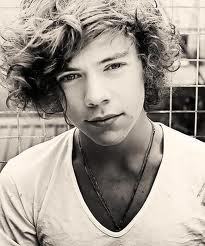 absolutely!! hes super georgous! and an amazing singer!!!  and im like in love with harry styles!!!:)
